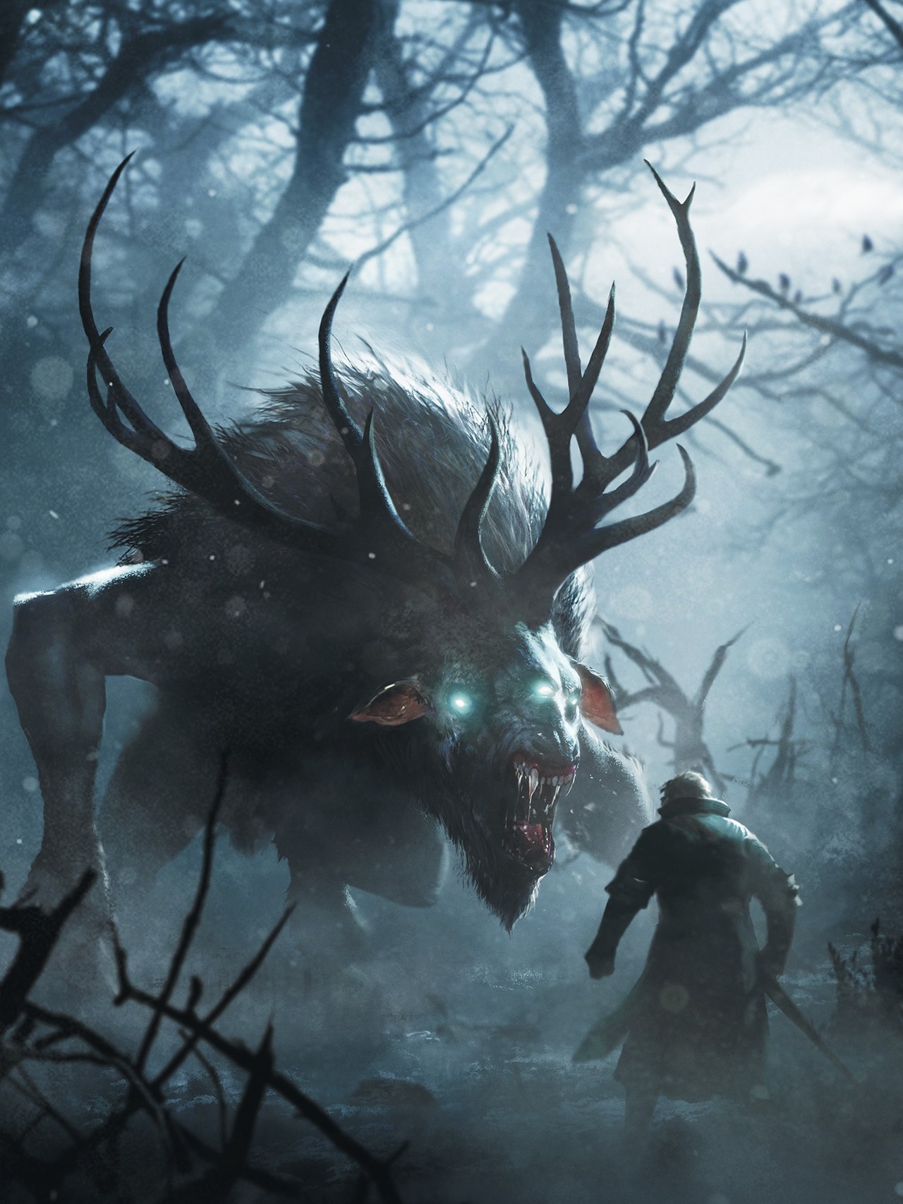 The Witcher Collection